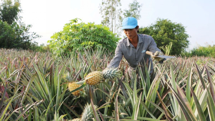 Quảng Trị: T’nơơm zứa âng chô bh’nơơn đoọng ha đhanuôr zr’lụ bôl dal, k’tiếc mốp