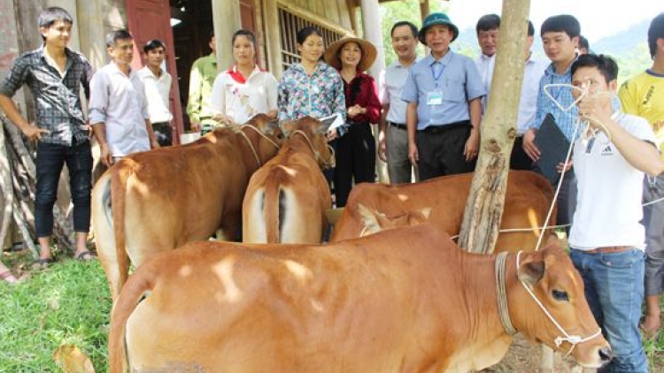 Bình Thuận: Bh’nơơn tợơ bh’rợ zúp zooi pazêng zr’lụ k’đháp k’ra z’lấh đha rựt