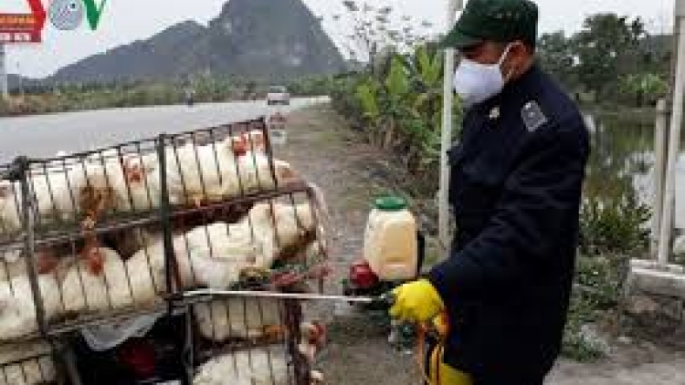Sơn La: Đơớh loon zâl cha groong pr’lúh cúm A/H7N9
