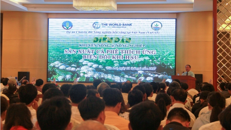 Tây Nguyên: Bhrợ têng cà phê ặt glặp lâng râu tr’xăl âng plêêng k’tiếc