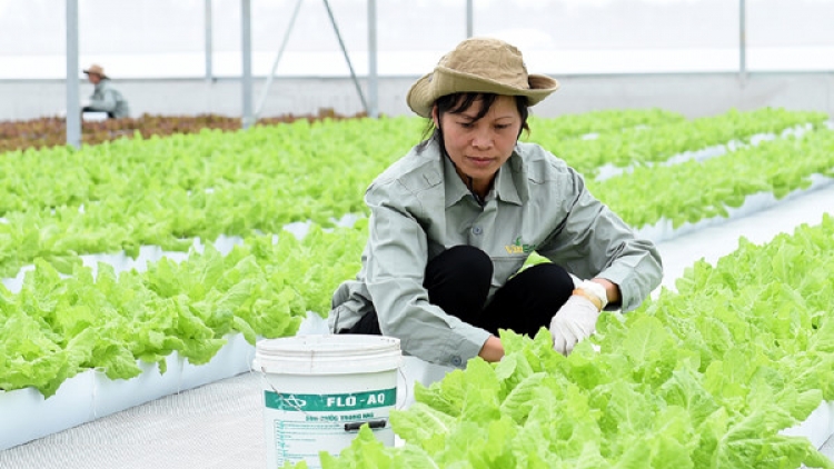 Vặ t’nôm tín dụng nông nghiệp công nghệ dal veye lãi suất đệ lấh tơợ 0,5 tước 1,5 %/c’moo