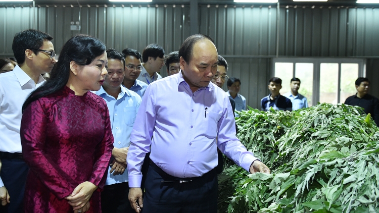 Thủ tướng Nguyễn Xuân Phúc k’đhơợng bhrợ hội nghị pazao đoọng c’lâng bh’rợ padưr pa’xớc zanươu Việt Nam