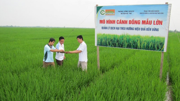 Khánh Hoà k’rong bhrợ lấh 260 tỷ đồng bhrợ têng clung ga mắc