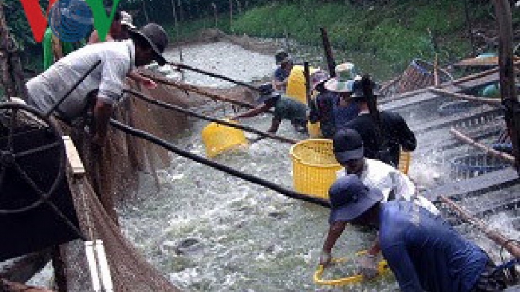 Tiền Giang: Băn a xiu Tra công nghiệp pa chô zên tỷ