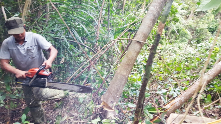Phú Yên: Lêy cha’mêết cớ zâp dự án đhanuôr k’rang tước
