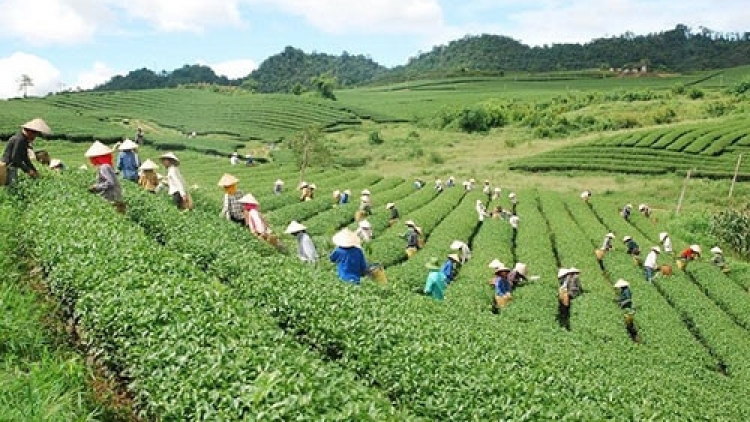 Hội nghị nhăn boóp p’rá ooy bh’rợ pa dưr du lịch Tây Bắc