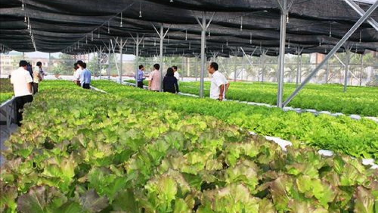 Quảng Trị: Bhrợ têng xa nay bh’rợ nông nghiệp sạch, công nghệ dal