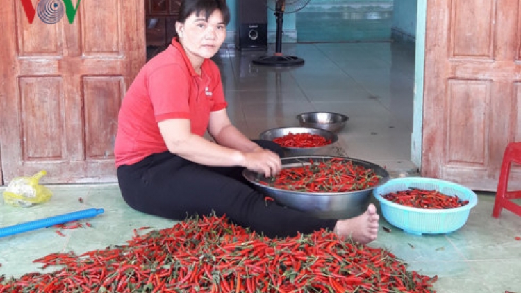 Quảng Ngãi: Chr’nắp prớ xiêr, chr’đhá lâng k’đác cắh năl đhị pa câl, đhanuôr lưm k’đháp bhlầng