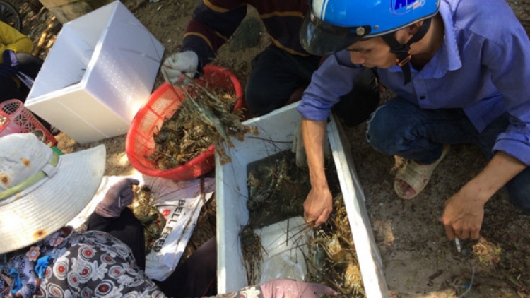 Phú Yên zooi zúp manứih băn a’chông pa pậ
