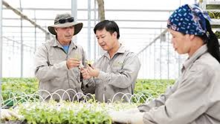 Nắc lêy cơ chế liêm buôn đoọng t’pấh doanh nghiệp k’rong bhrợ têng nông nghiệp