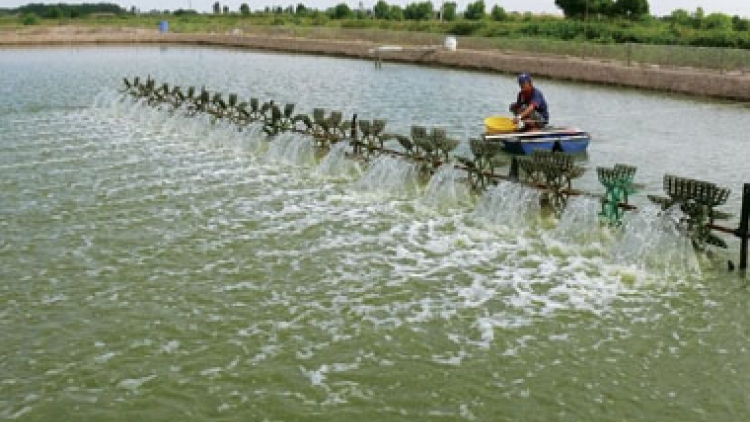 Cà Mau têêm ngăn k’tiếc băn a’chông