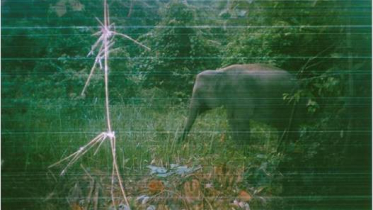Video: ĐƠỚ H HÂN BHRỢ T’VÁIH ZR’LỤ BĂN ZƯ A CHIÊNG