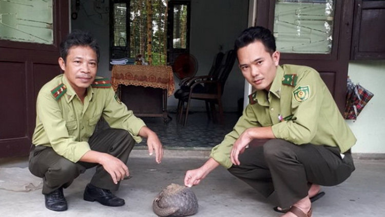 Thừa Thiên Huế: P’lóh xoọng cróh chô ooy crâng