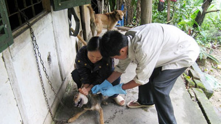 Yên Bái đơớh loon zâl cha groong cr’ăy dại cóh hân noo ch’noọng