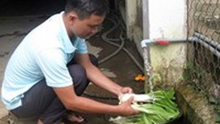 Bình Định: Lấh 300 pr’loọng đong đhanuôr căh zập đác đươi dua