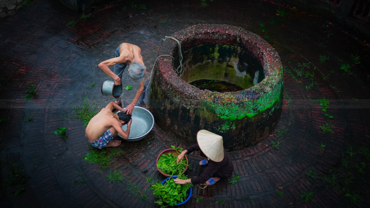 Giếng Quê - Lê Mận