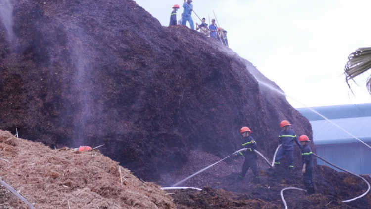 Bình Định: RoÓh cát dăm n’loong bhứah lấh 2hécta