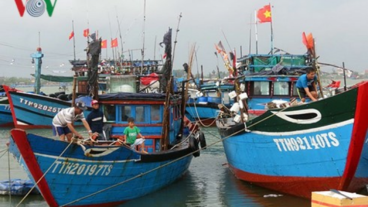 Thừa Thiên Huế: Zúp zooi 3,5 tỷ đồng zên bảo hiểm đoọng ha bhuông ra kịt ch’ngai toor