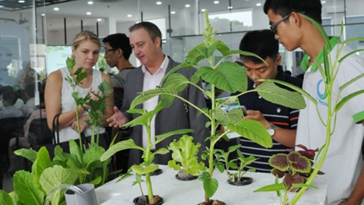 Đà Nẵng: Ươm liêm choom bấc dự án bhrợ cha
