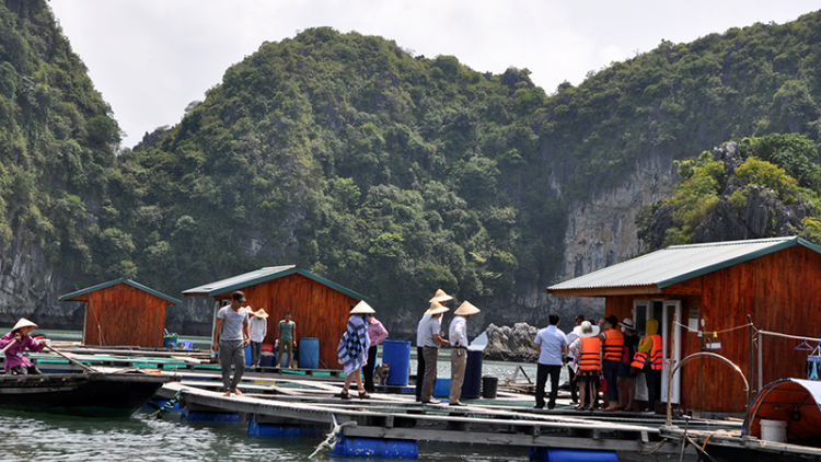 Quảng Ninh: Ch’mêết lêy bh’rợ du lịch pa têết lâng bh’rợ b’băn ch’chóh đhị zr’lụ đác Hạ Long