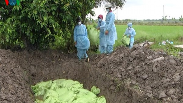 Kiên Giang: Bơơn lêy 3 bha nụ pr’lúh cúm A/H5n1