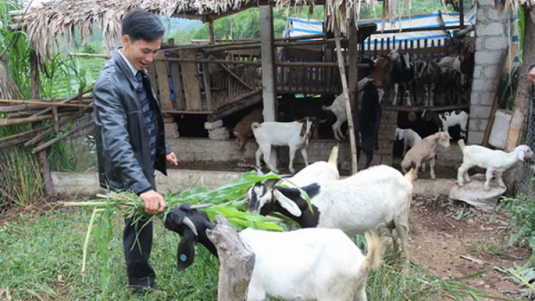 Z’lấh đha rựt đươi vêy băn bé cóh da ding