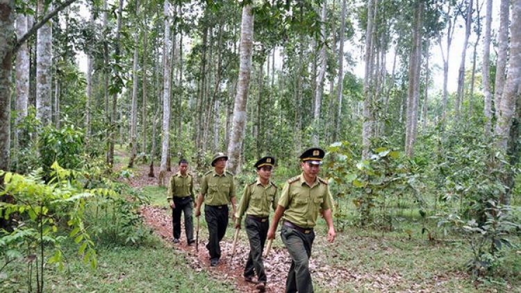 Thủ tướng đoọng bhrợ Đề án k’đhợơng lêy crâng đanh mâng