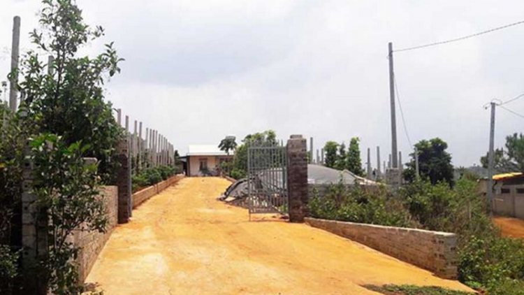 Gia Lai: Ch’mêệt lêy zấp prang apêê Ban k’đhơợng lêy crâng, công ty lâm nghiệp