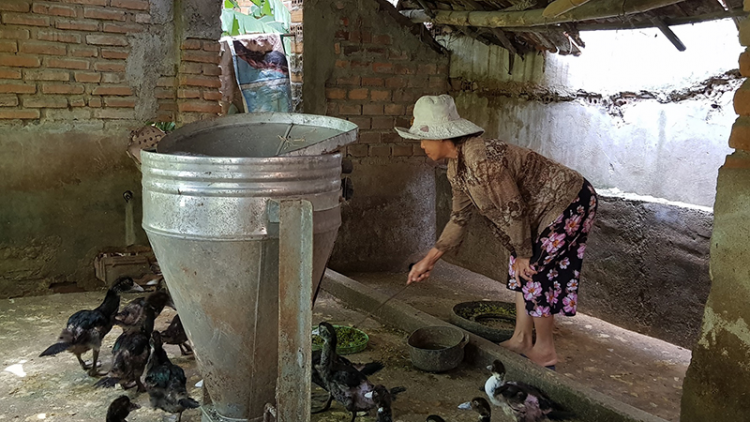 Đơớh loon zâl cha groong pr’lúh cúm cóh a tứch a đha