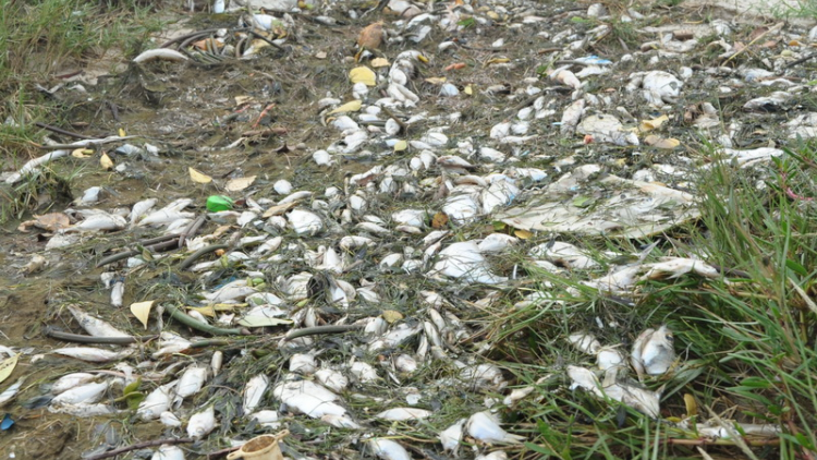 Quảng Nam: Axiu chêệt dơng bhoóc choóh a bóc đăn k’ruung Trường Giang