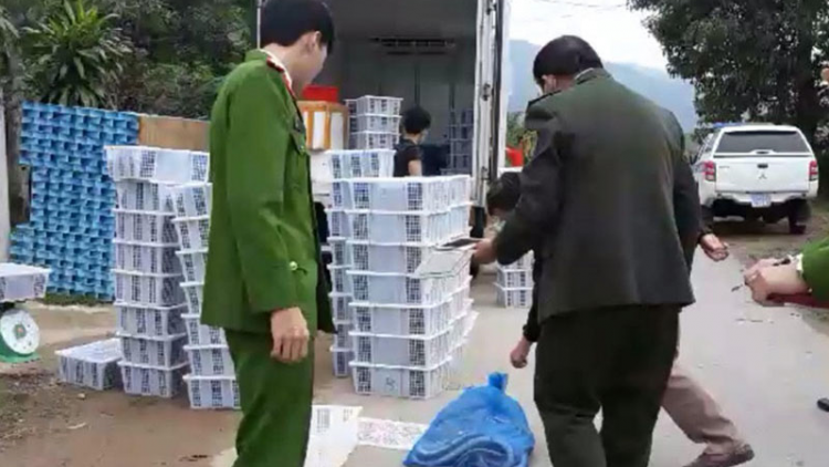 Quảng Bình: Coóp g’lúh đơơng âng lệt xa nay a đhắh dzăm crâng