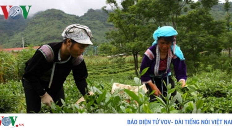 Lai Châu pa dưr bấc zr’lụ chóh bhrợ hàng hoá zazum chất lượng liêm