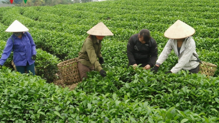 Đoọng padưr pa xớc bh’nơơn pr’đươi hữu cơ đhanuôr nắc lêy bhrợ têng k’tiếc bhrợ cha