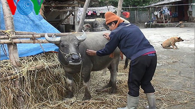 Da ding ca coong n’đắh Bắc: Ma năl cha groong ha ul cha kêệt ha bh’năn