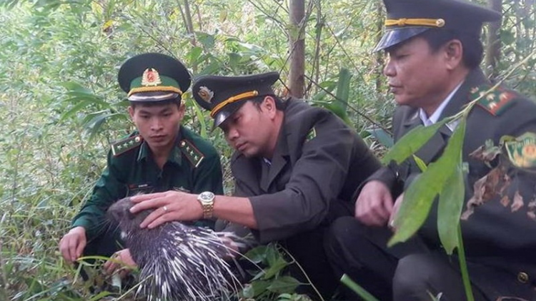Quảng Trị coọp zư tu bhiệc âng đơơng a’đhắh dzăm đhị zr’lụ k’noong k’tiếc