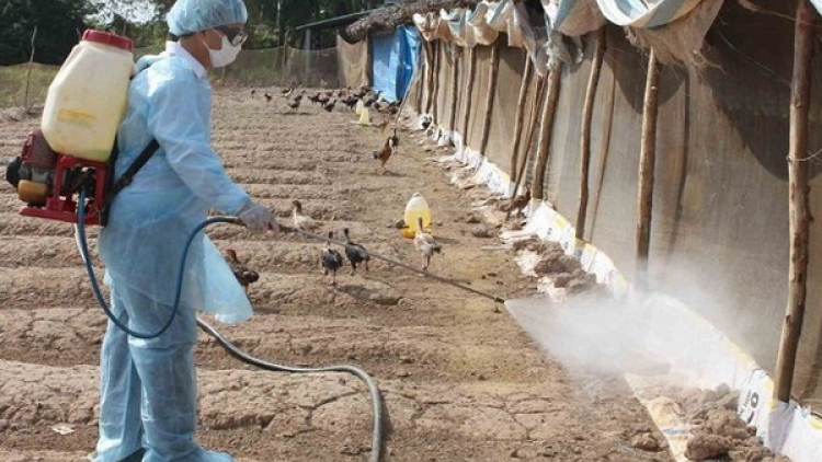 Quảng Ngãi: Xay bhrợ “C’xêê pa liêm pa sạch t’bil độc t’bil vi trùng cóh môi trường”
