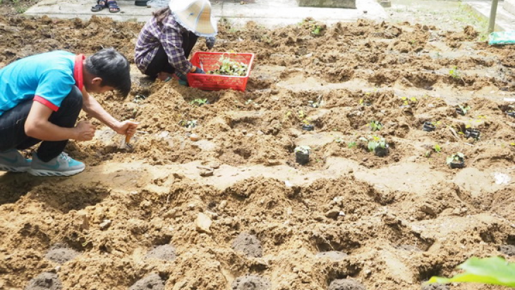 Zooi zúp, bhrợ padưr liêm chr’nắp đoọng ha sinh viên tơợp bhrợ têng cha, chấc lêy bhiệc bhrợ