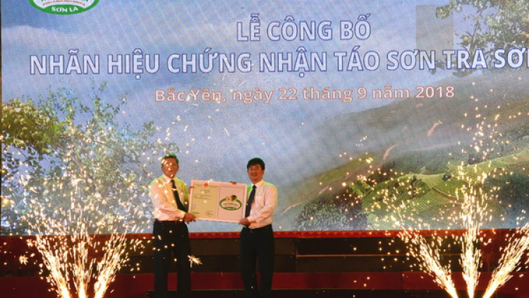 Sơn La: Đương độp pay văn bằng zư lêy nhãn hiệu chứng nhận táo Sơn La