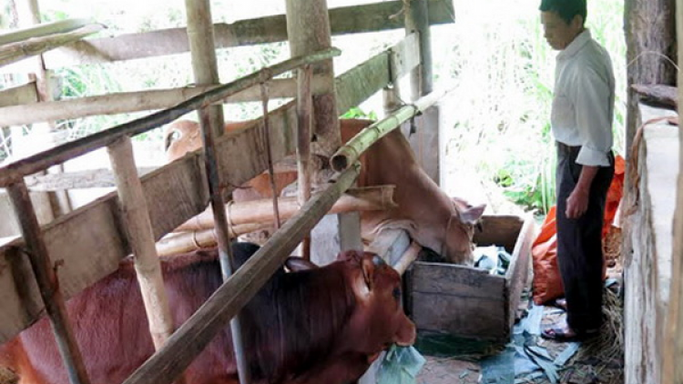 Bhrợ têng liêm choom zâp chính sách pa xiêr đha’rứt