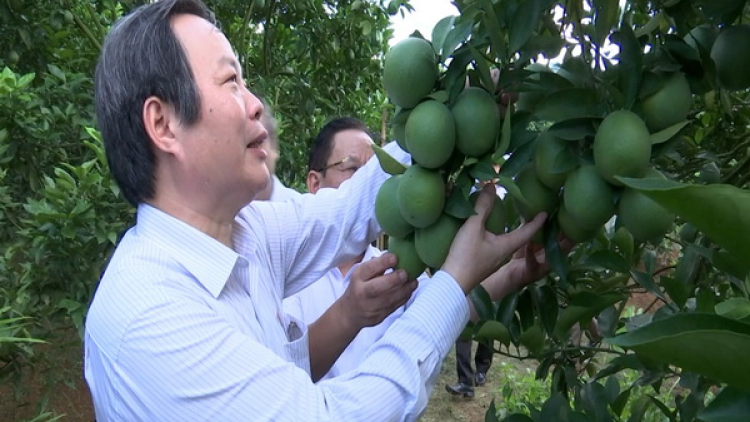 Phó Chủ tịch Quốc hội Phùng Quốc Hiển lưm lêy cr’nọo bh’rợ bhrợ têng cha đhị Sơn La