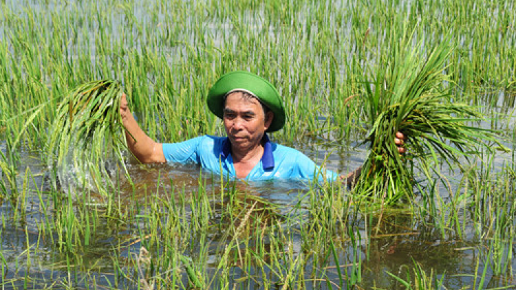 An Giang: Bấc đhanuôr chóh ha’roo bil pất zêng tu túh chô đấh