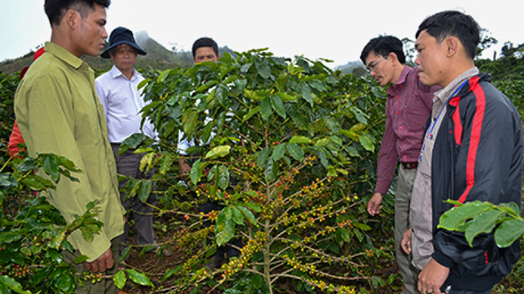Kon Tum: P’têết pazưm 4 Hợp tác xã đoọng padưr dal chr’nắp bh’nơơn pr’đươi nông nghiệp