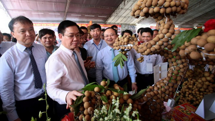 Phó Thủ tướng Vương Đình Huệ pấh hội nghị bhrợ têng tr’câl tr’bhlêy nhãn lồng lâng chr’nóh chr’bệêt