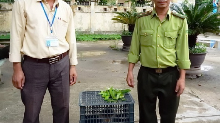Thừa Thiên Huế: P’lóh muy p’nong bọo dzung bhrậu chô ooy crâng