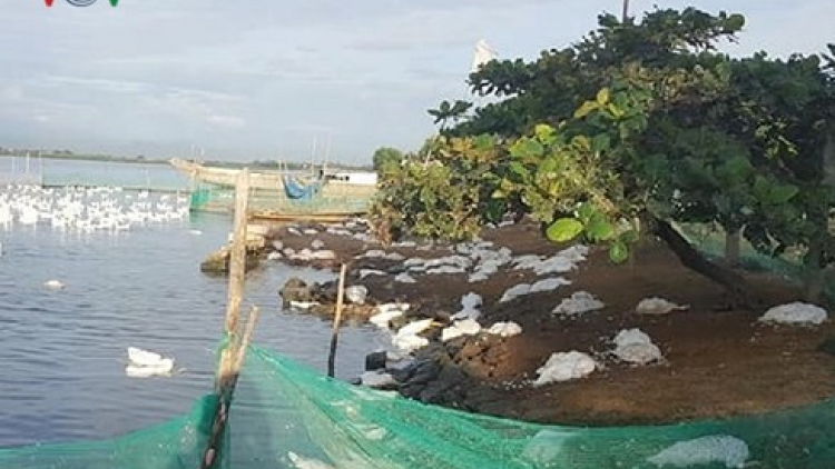 Thừa Thiên Huế: K’noọ 300 p’nong a đha chêệt cắh năl ghít hâu tu