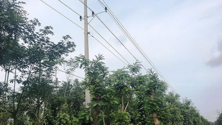 Đắk Lắk: Bil hư 2,5 tỷ đồng tơợ bh’rợ bhrợ lất ooy zr’lụ liêm crêê âng a ngoon điện