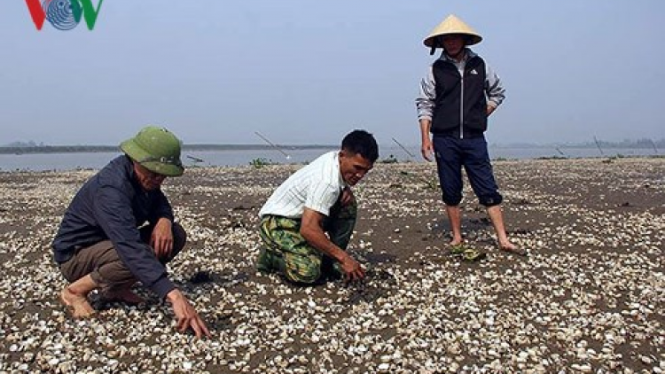 Manứih băn k’cập cóh Trà Vinh bil k;tỷ đồng tu k’cập ma chêết zêng