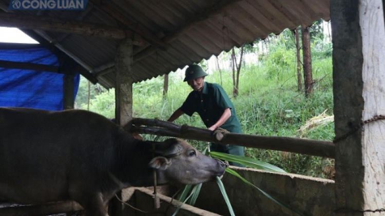 Cựu chiến binh dưr z’lấh bhrợ padưr cr’van tơợ zên vặ t’đui đoọng