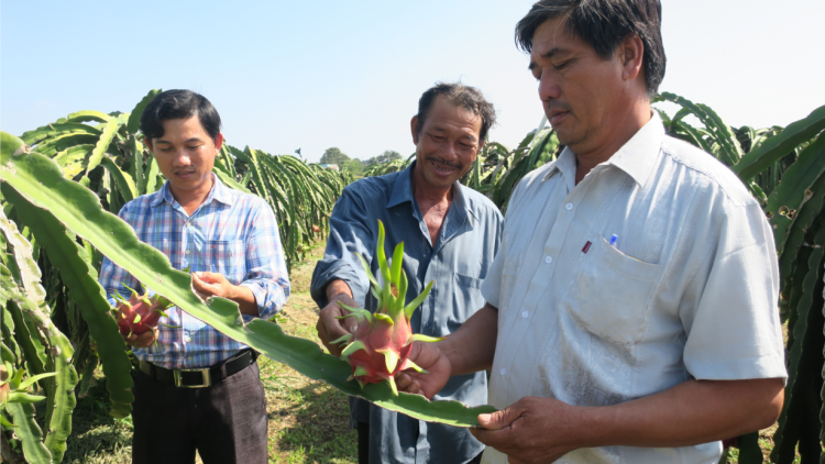 Đhanuôr pazưm bhrợ chóh thanh long liêm sạch pa câl cóh k’tiếc k’ruung lơơng lâng zên dal