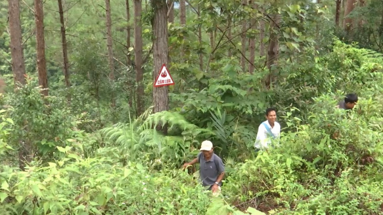 Zư lêy crâng đhị p’bhung đong Tây Nguyên